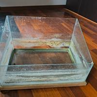 acquaterrario per tartarughe