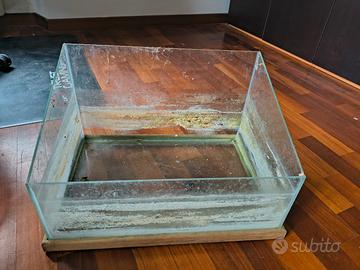 acquaterrario per tartarughe