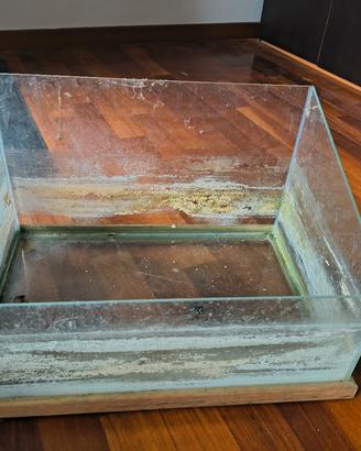 acquaterrario per tartarughe