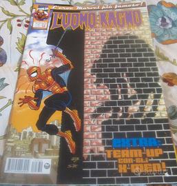 L’Uomo Ragno 58/330