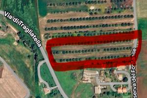 Terreno agricolo localita' i terzi