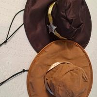 Coppia cappelli da Cowboy
