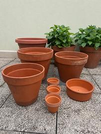 Vasi in terracotta