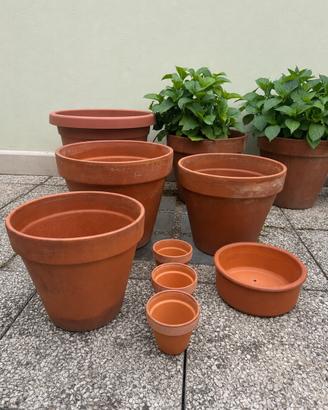 Vasi in terracotta