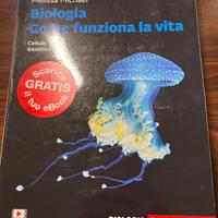 Biologia: come funziona la vita