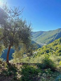 Rustico / Casale di 120 m² con più di 5 locali a P