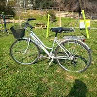 Bicicletta da donna