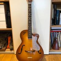 chitarra semiacustica Eko 100