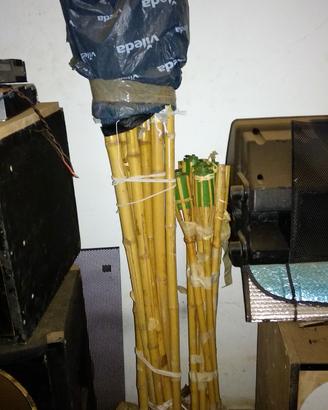Fiaccole bamboo