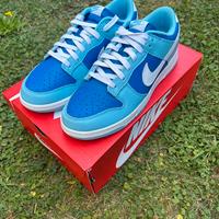 Nike dunk low “argon”