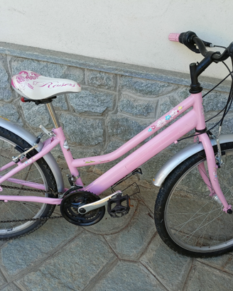 Bicicletta