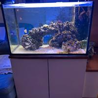 acquario predisposto per  ambiente marino