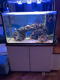 acquario predisposto per  ambiente marino
