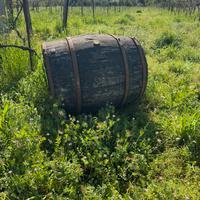 Botte in legno