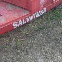 Pattino di salvataggio 