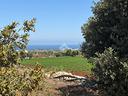 ter-agricolo-a-polignano-a-mare