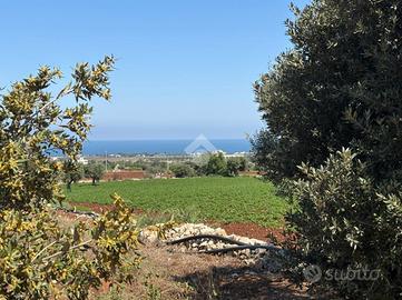 TER. AGRICOLO A POLIGNANO A MARE