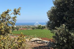 TER. AGRICOLO A POLIGNANO A MARE