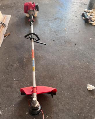 Decespugliatore Progreen