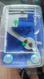 Tartarughe e casetta