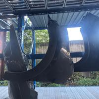 Parafango Anteriore Sinistro Citroen C3