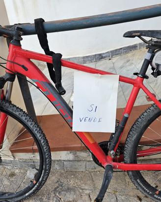 Bici Cube am