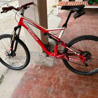 Mtb specialized stunjumper