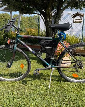 Mountain bike