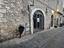Immagine 3