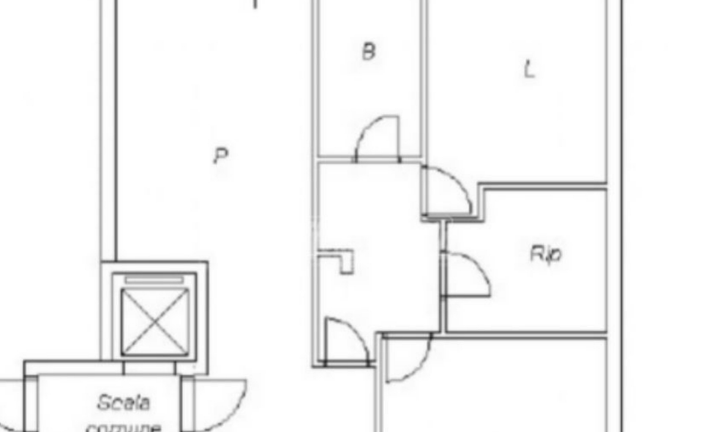 Splendido appartamento p. t. con scoperto