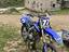 Immagine 4