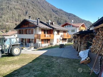 Monolocale in Val di Sole