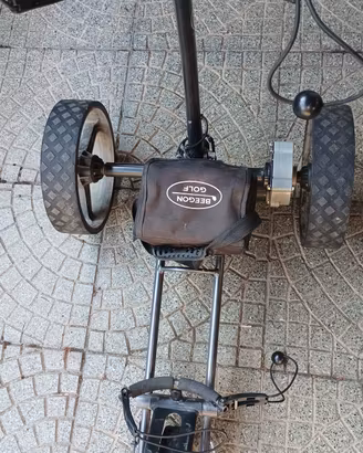 carrello elettrico da golf