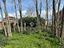 Immagine 13