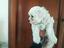 Immagine 4
