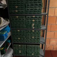 Mattonella da giardino