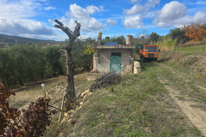 Terreno con vigneto e oliveto con torretta