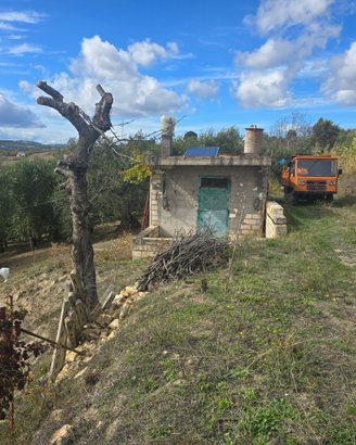 Terreno con vigneto e oliveto con torretta