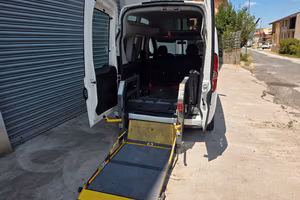 fiat doblo trasporto disabili