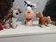Immagine 4