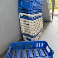 15 rastrelliere Porta vino 6 bott cad.