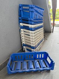 15 rastrelliere Porta vino 6 bott cad.