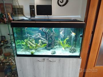 acquario 180l