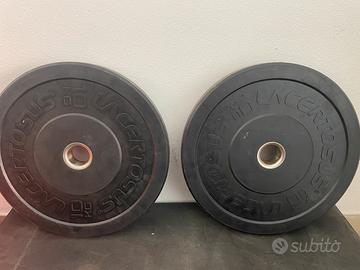 Coppia Dischi Bumper Training 10 Kg