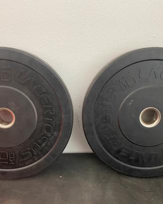 Coppia Dischi Bumper Training 10 Kg