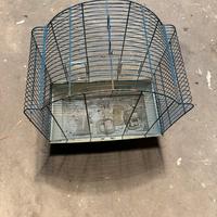 Gabbie per uccellini