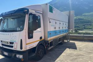 Eurocargo