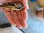 Immagine 5