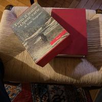 Letteratura russa Turgenev