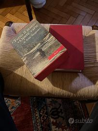 Letteratura russa Turgenev